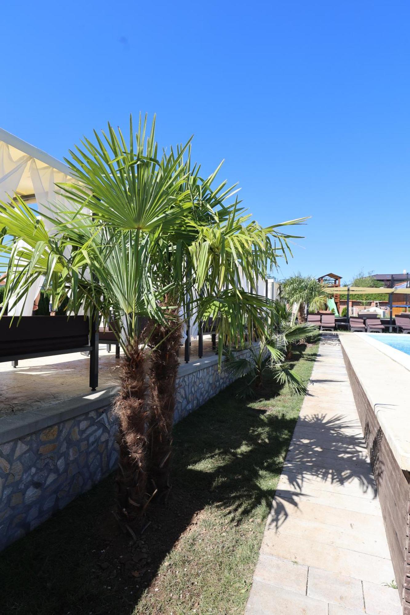 Alexander Resort Sopot Bagian luar foto